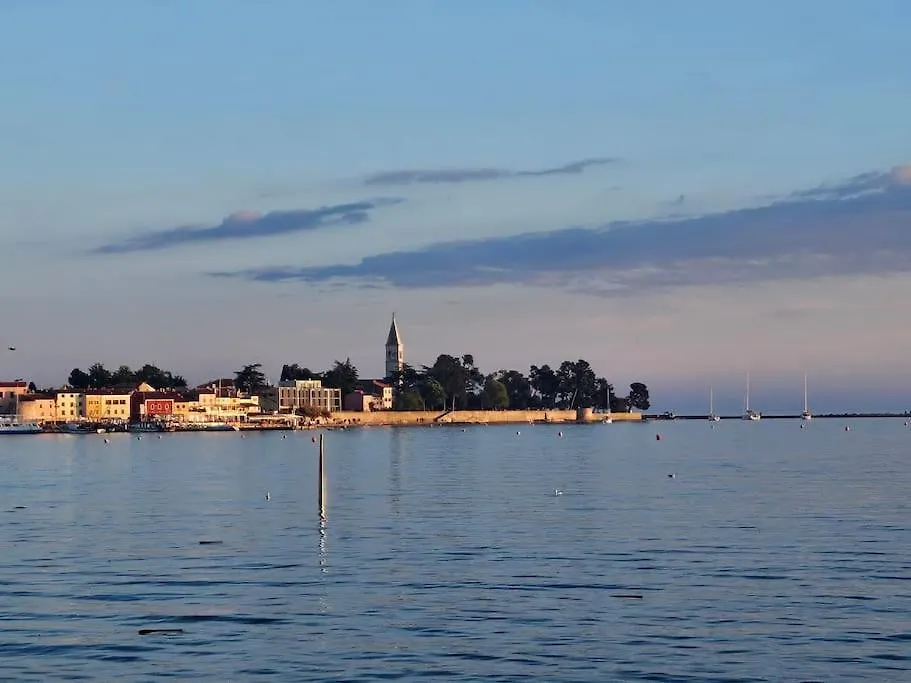 Villa Chandra Villa, New - 10M Heated Pool Novigrad