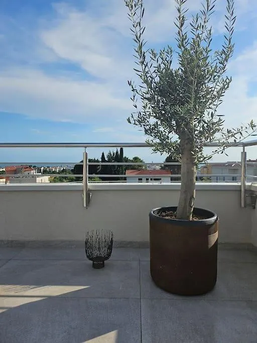 Chandra Villa, New - 10M Heated Pool Novigrad  0*, Novigrad (Istria)