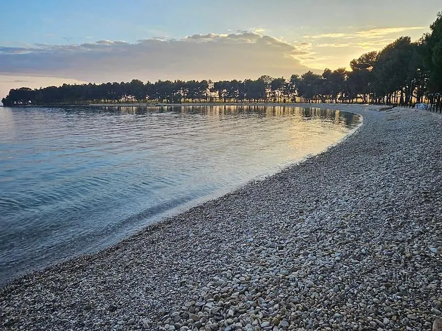 Chandra Villa, New - 10M Heated Pool Novigrad Istria